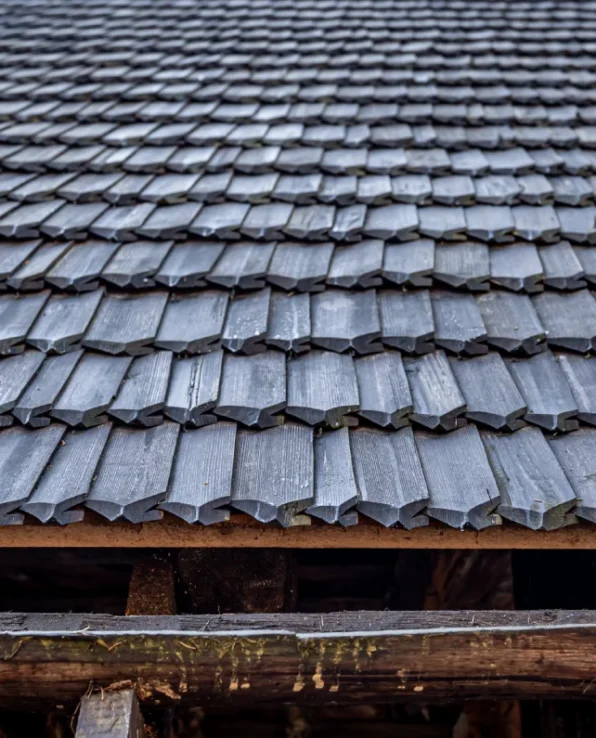 Roofing Services (1)