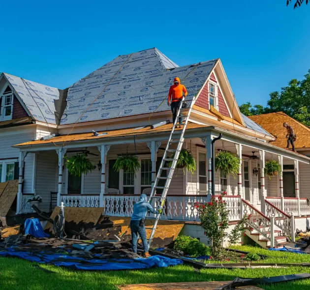 ezgif.com-webp-maker - 2026-03-26T225853.850